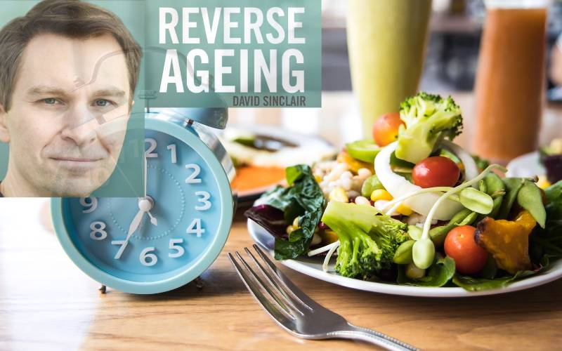 David Sinclair explains how intermittent fasting fights aging