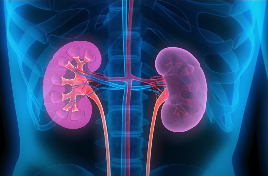 How to improve kidney health